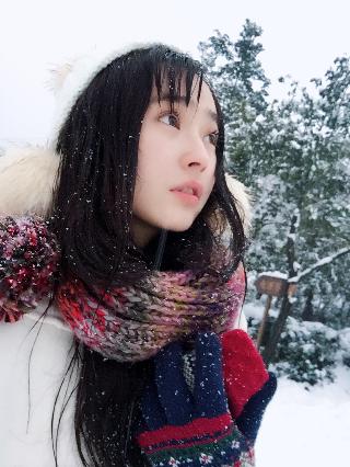 野兽们的战争在线观看免费版